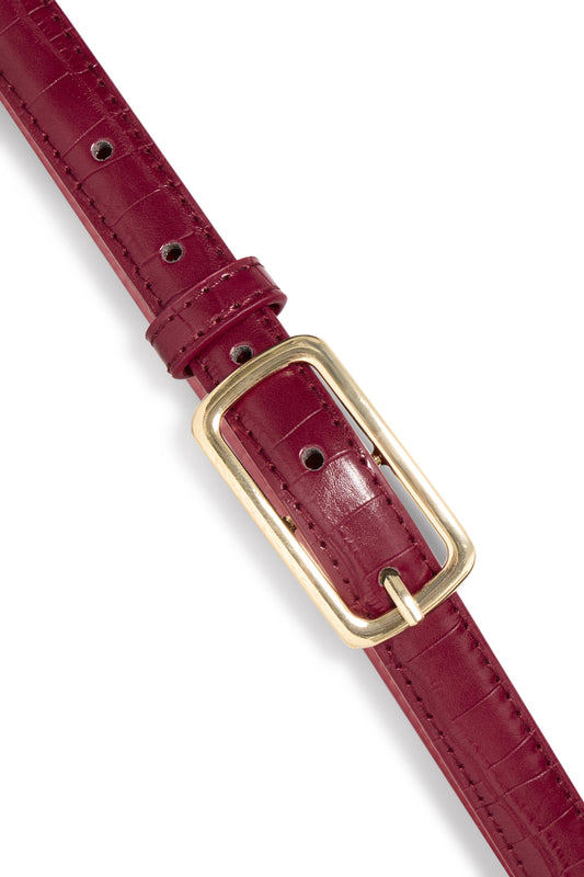 Cinturón IACASHA — ICHI